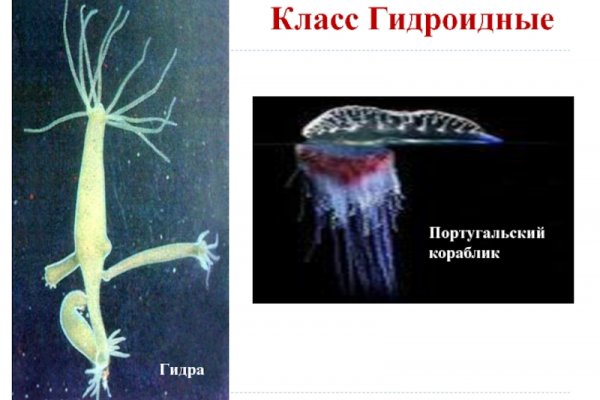 Как попасть на сайт кракен