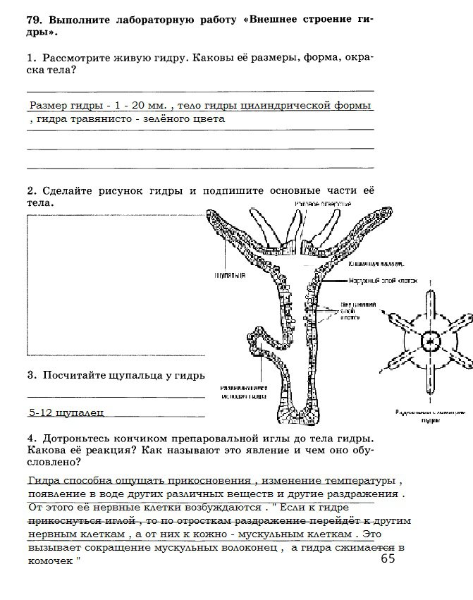 Kra45.cc Вход на сайт главная страница