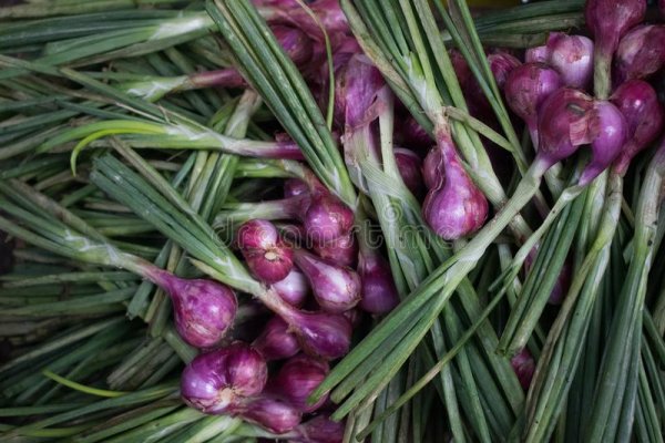 Ссылка на кракен onion kraken dark link