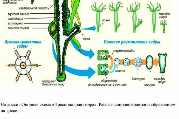 Ссылка для входа на сайт kraken