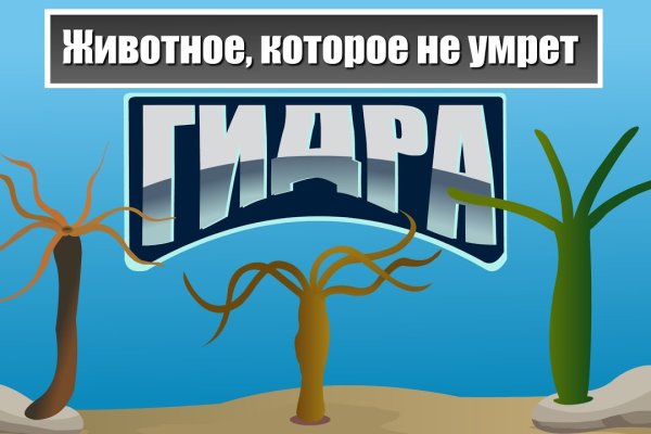 Площадки в супернете