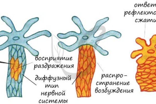 Кракен ссылка новая
